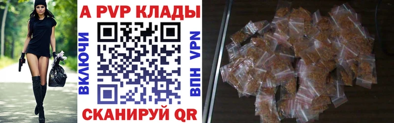 kraken вход  Дюртюли  Alpha PVP СК 