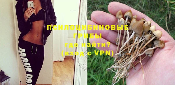 тгк Верхний Тагил